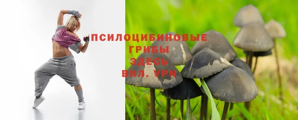 дживик Кодинск