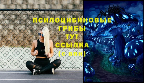 дживик Кодинск