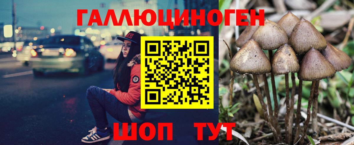 Луховицы  Псилоцибиновые грибы прущие грибы  Вход с VPN  Галлюциногенные грибы MAGIC MUSHROOMS 